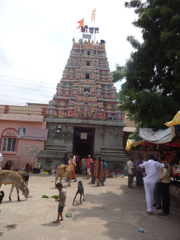 Ganagapur Dattatreya temple | Ganagapur Lord Dattatreya mandir